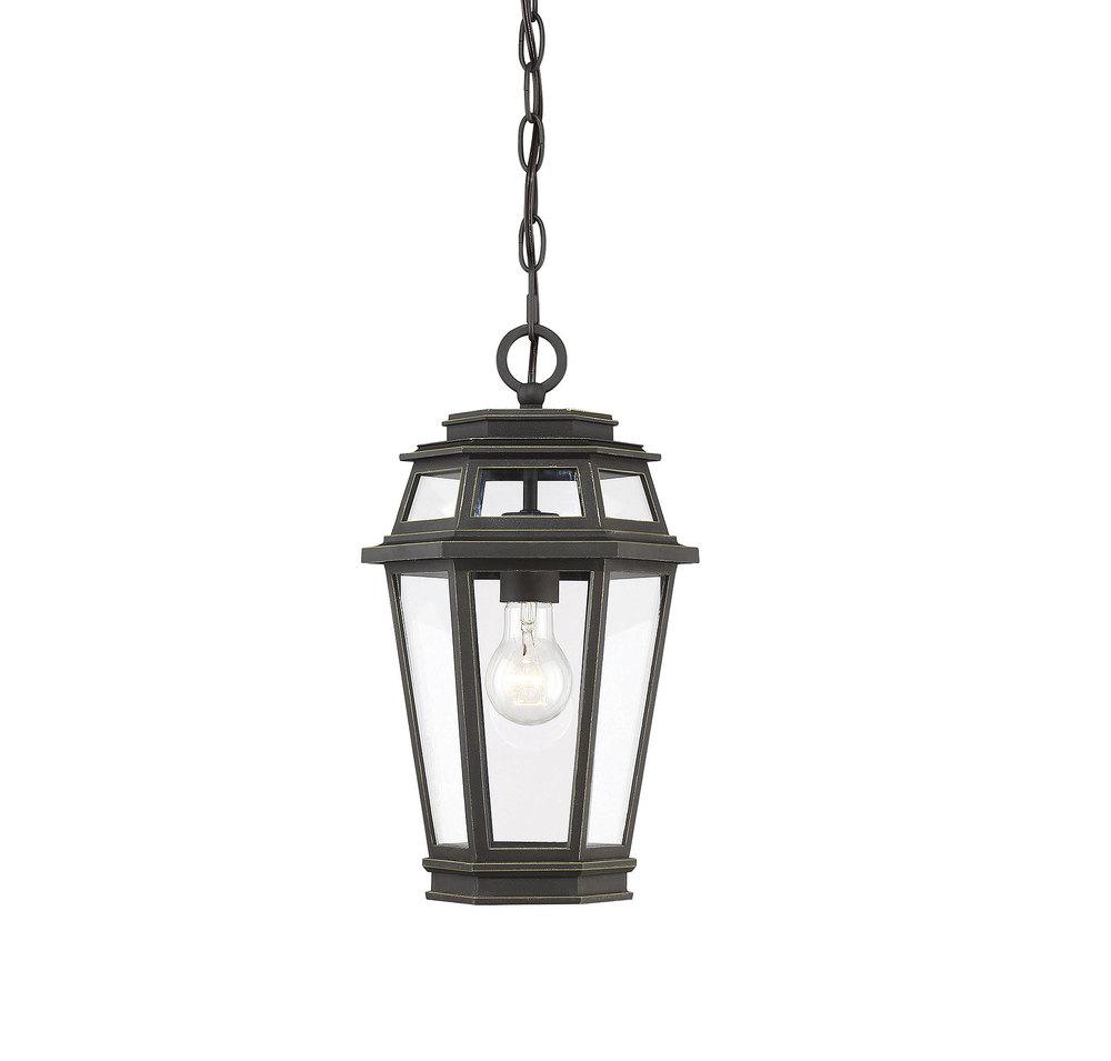 Holbrook 1 Light EPMM Outdoor Hanging Lantern