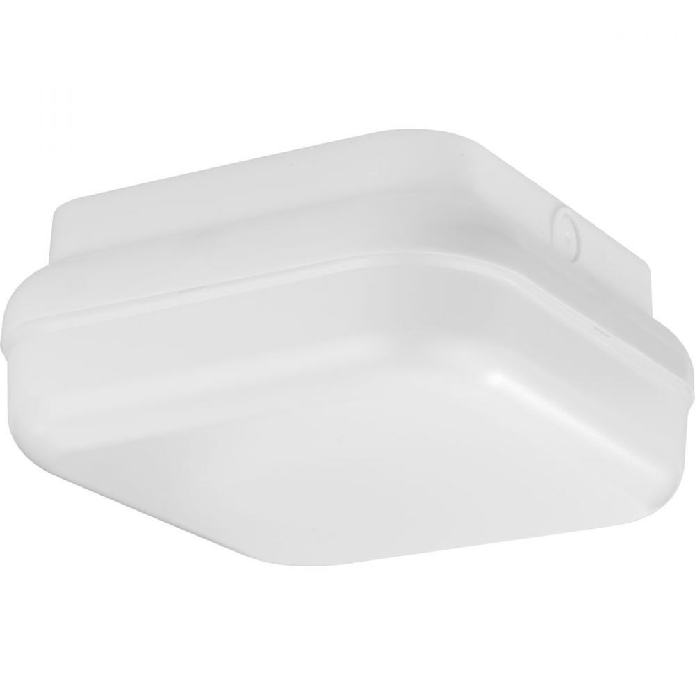 Hard Nox Wet Rated White 10" Square Flush Mount