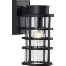 Progress P560168-031 - Port Royal Coastal Rated Outdoor Lantern