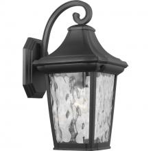 Progress P560172-031 - Marquette Coastal Rated Outdoor Lantern