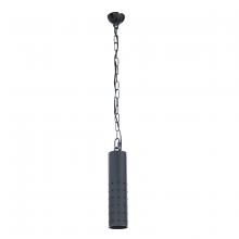 WAC 3821-27/30/40BK - LED Landscape Pendant Light