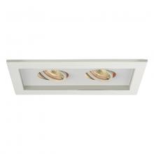 WAC MT-216-WT/WT - Low Voltage Multiple Two Light Trim