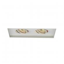 WAC MT-216TL-WT - Low Voltage Multiple Invisible Two Light Trim