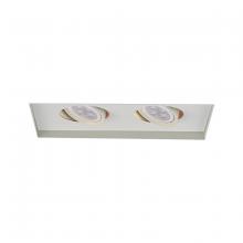 WAC MT-216LEDTL-WT - Low Voltage Multiple Invisible Two Light Trim