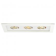 WAC MT-316-WT/WT - Low Voltage Multiple Two Light Trim