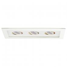 WAC MT-316LED-WT/WT - Low Voltage Multiple Two Light Trim