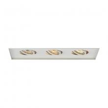 WAC MT-316TL-WT - Low Voltage Multiple Invisible Two Light Trim