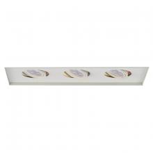 WAC MT-316LEDTL-WT - Low Voltage Multiple Invisible Two Light Trim