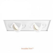 WAC MT-5LD225TL-F27-WT - Tesla LED Multiple Two Light Invisible Trim with Light Engine