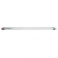 LINEARS