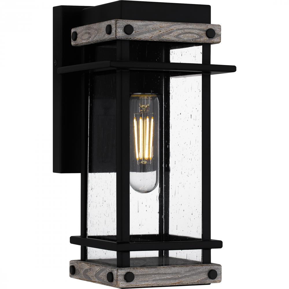 Strader Coastal Rated Outdoor Wall Lantern