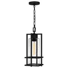 Quoizel DMN1907EK - Damien Coastal Rated Outdoor Lantern