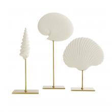 Arteriors DC9000 - Shell Sculptures, Set of 3