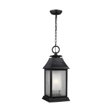Visual Comfort & Co. Studio Collection OL10611DWZ - Shepherd Coastal Rated Outdoor Lantern