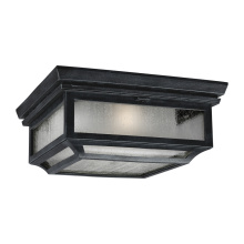 Visual Comfort & Co. Studio Collection OL10613DWZ - Shepherd Coastal Rated Outdoor Lantern