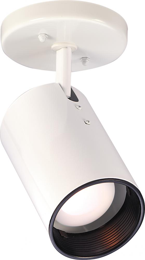 1 Light - R20 - Straight Cylinder