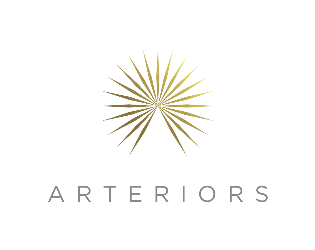 Arteriors